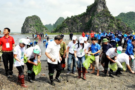 Vietnam responds to the World Environment Day - ảnh 2